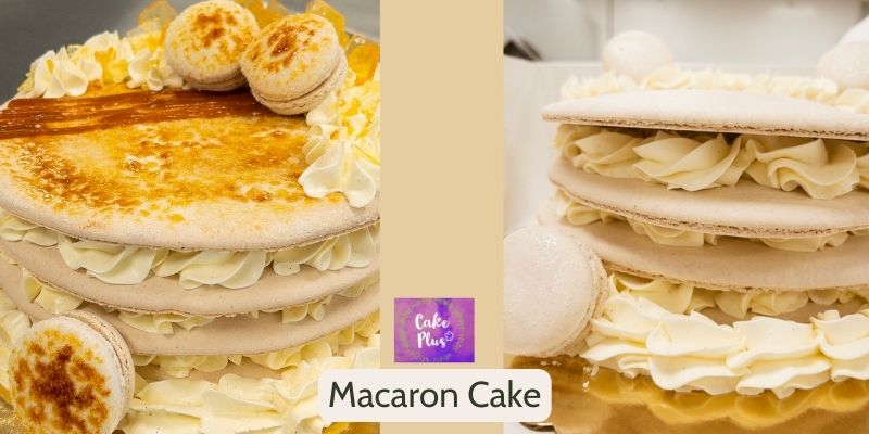Macaron Cake