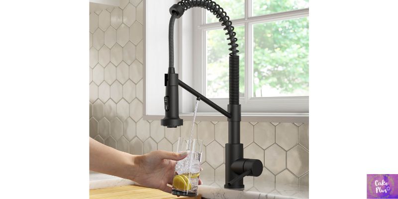 Bolden Commercial Style 2-Function Kitchen Faucet