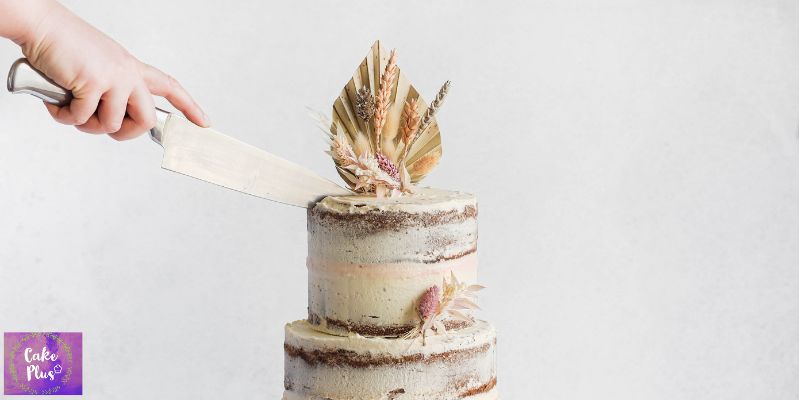 How to Make a Naked Cake Wedding? 