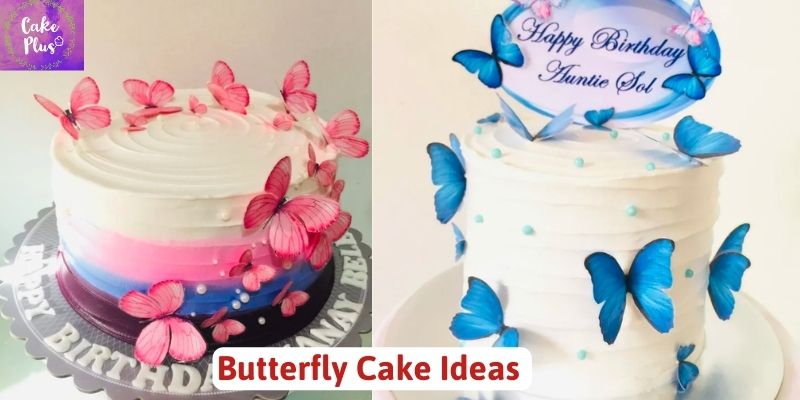 Butterfly Cake Ideas